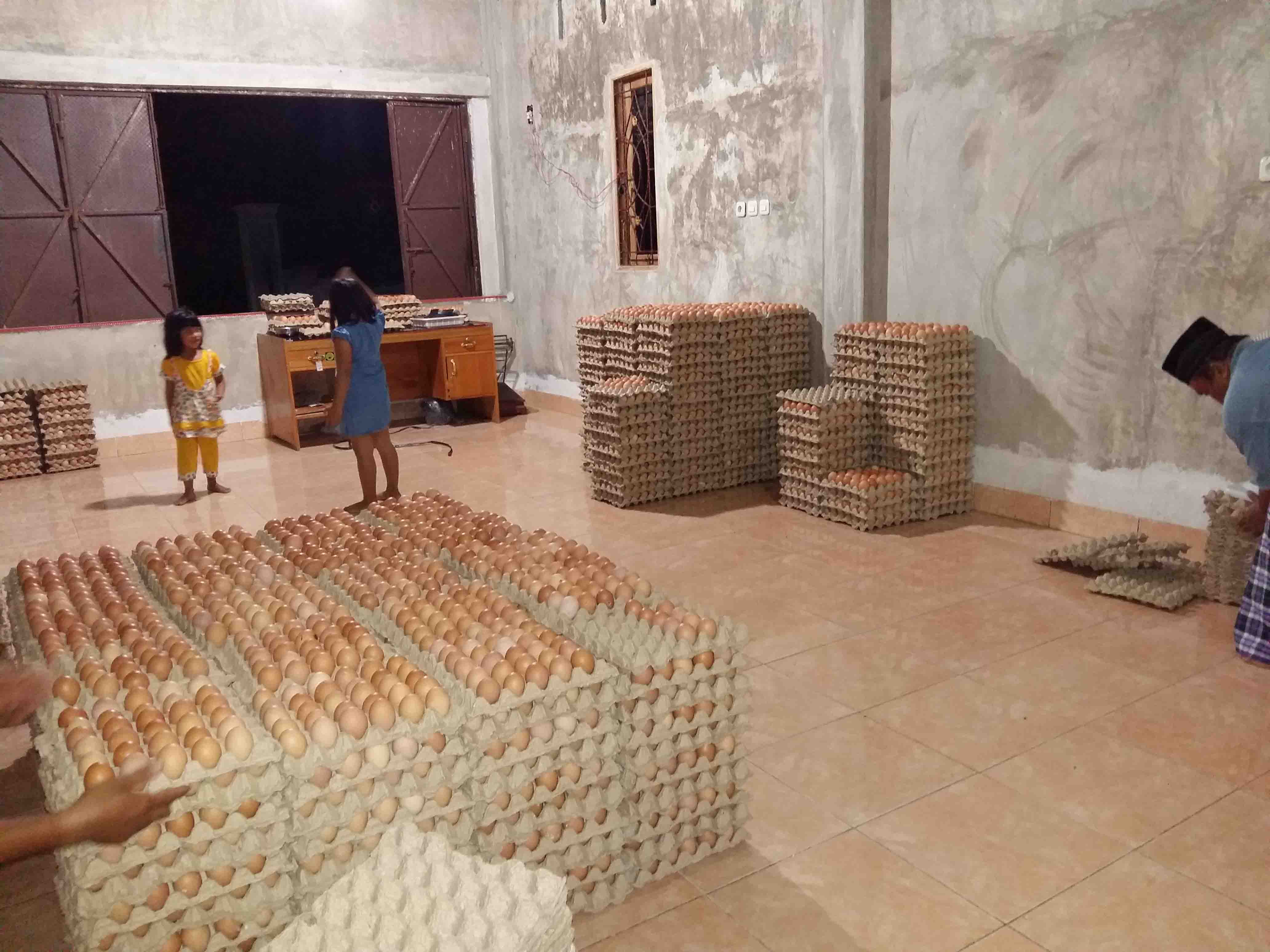 Melirik Bisnis Ayam Petelur