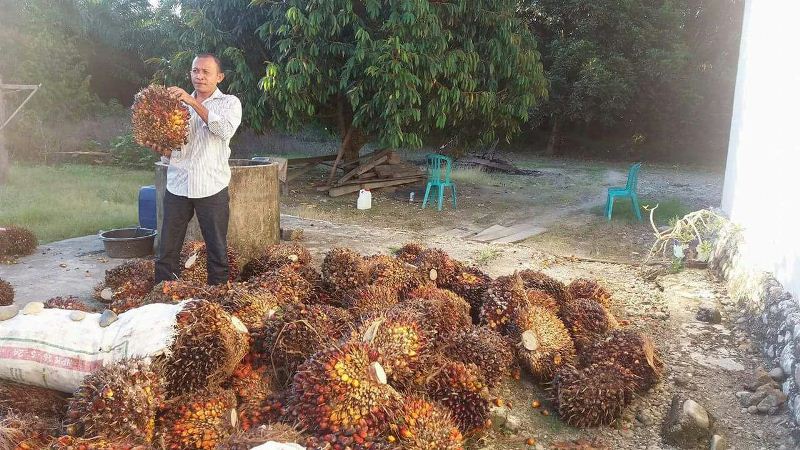 Mujahid : Tidak Ada Yang Fiktif