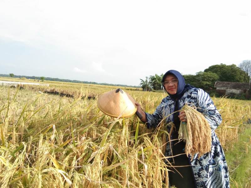 Mardiana Indraswati (Caleg DPR RI): Masyarakat Jawa Timur Rindu Program Kerakyatan Pak Harto