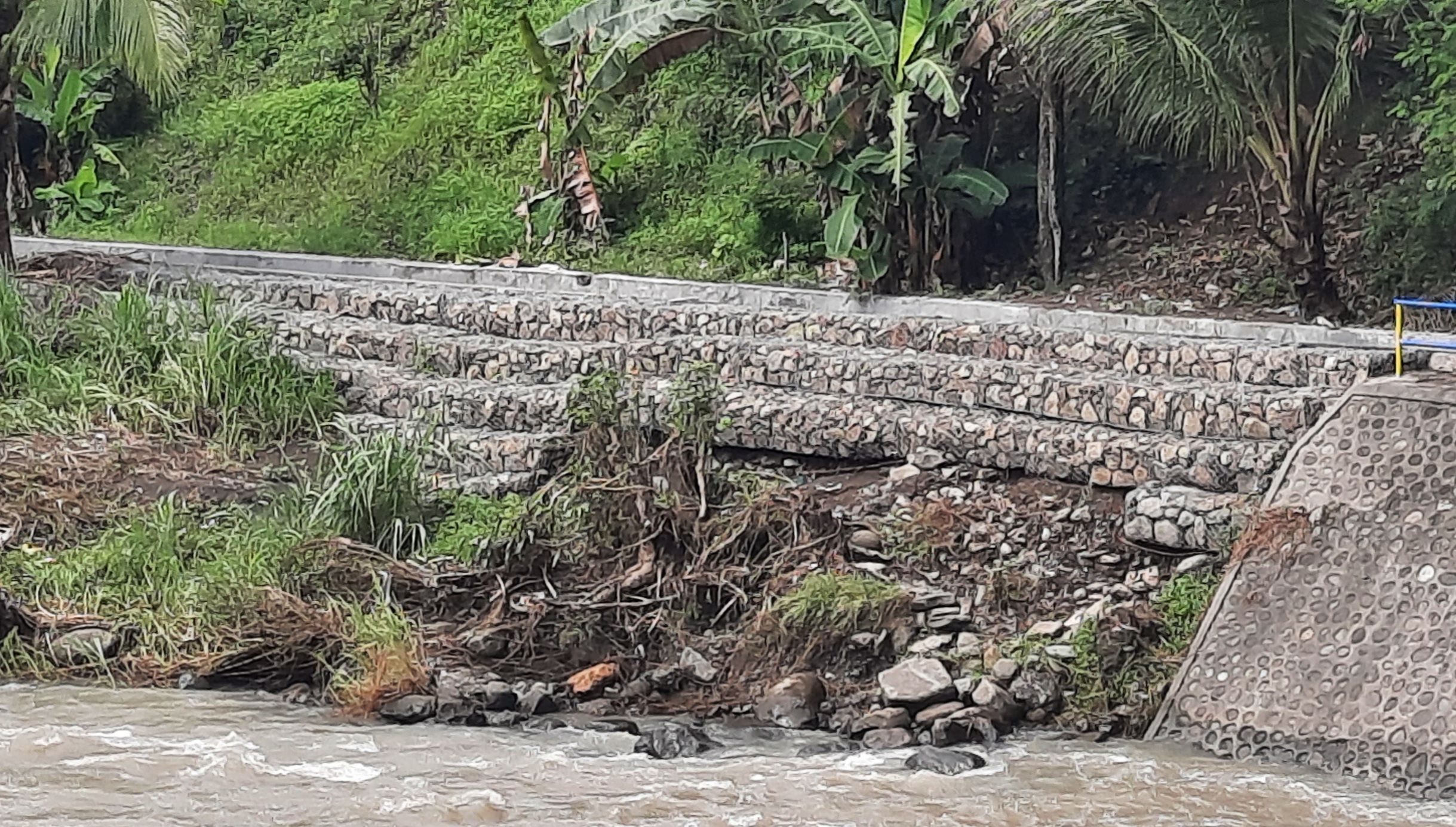 Rusly : Bronjong Diatas Tebing Sungai Proteksi Saluran Irigasi