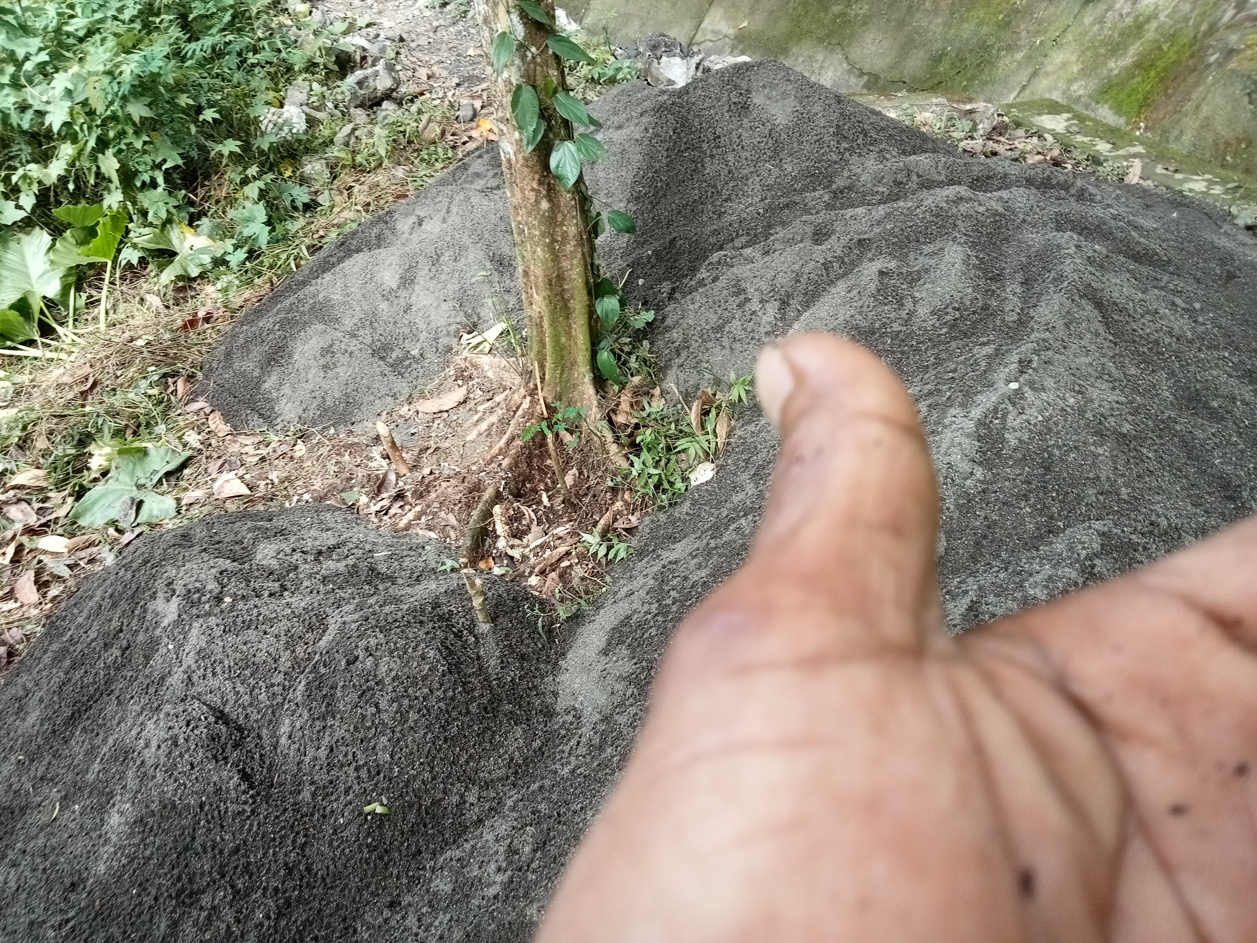 Erwin : Saya Sudah Perintahkan Segera Diganti Pasirnya