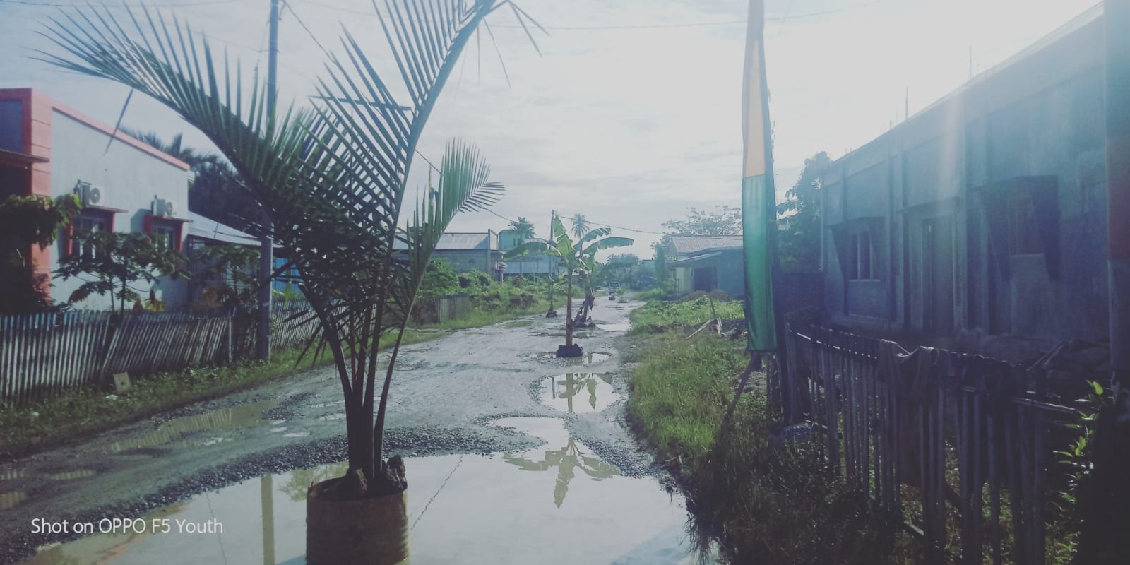 Ruas Jalan Yang Ditanami Pohon Pisang dan Kelapa Diperbaiki Tahun ini