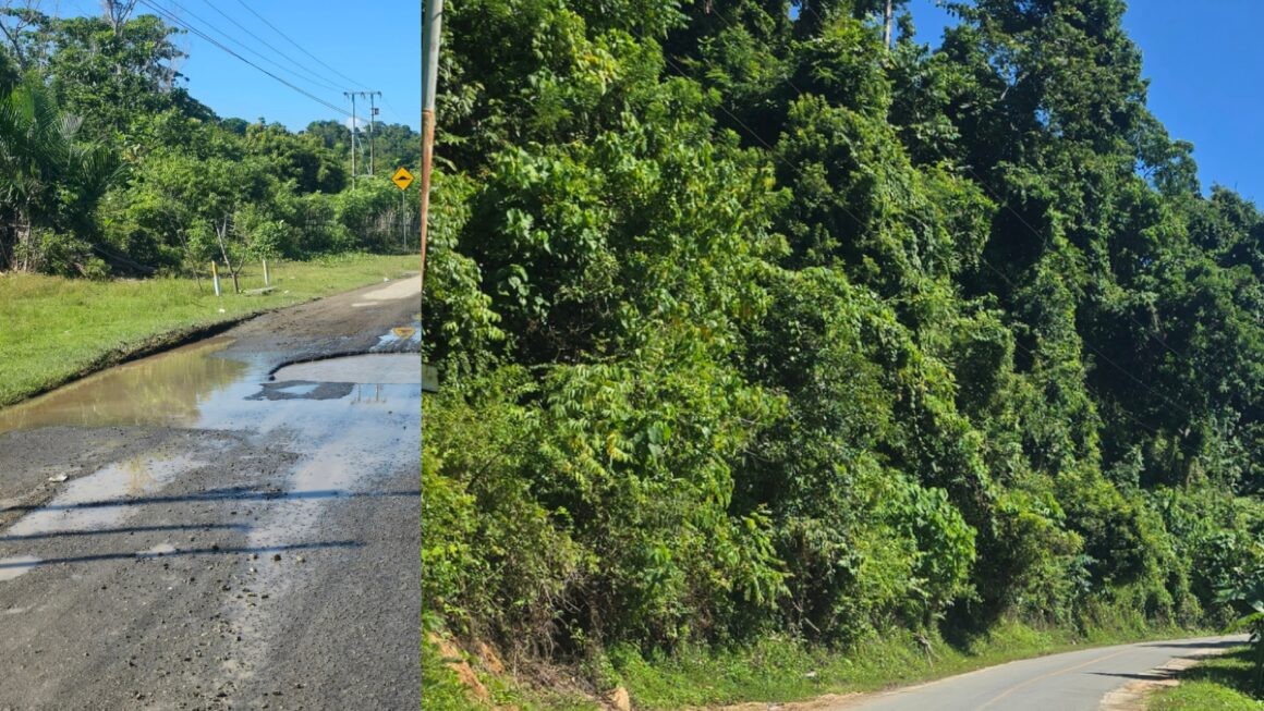 Ruas Jalan Nasional Butol “Rusak” Parah