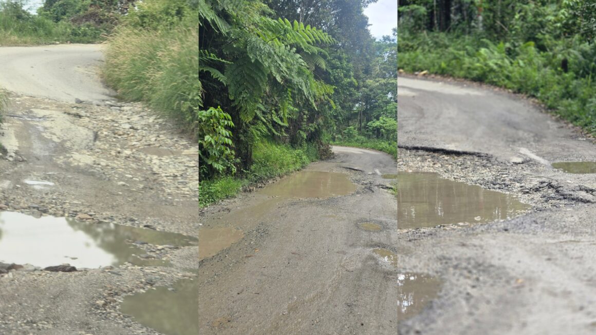 Ruas Jalan Provinsi Pasir Putih Labonu Mepanga Rusak Parah