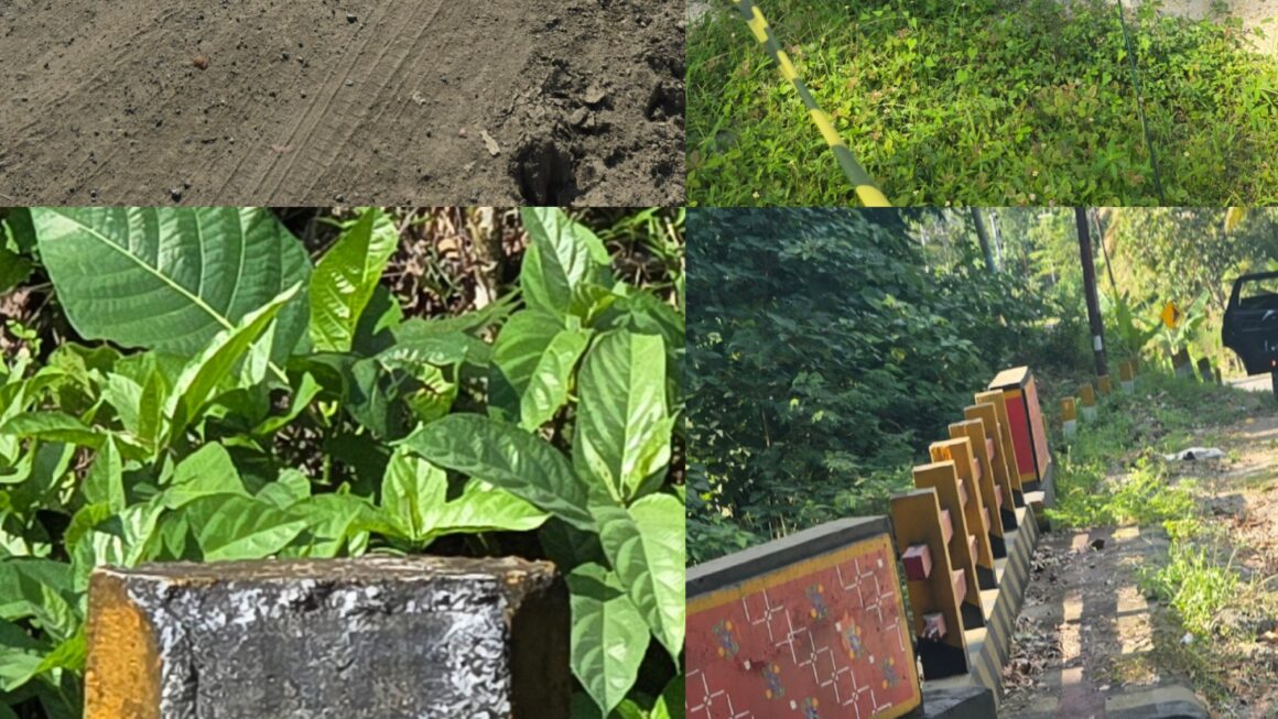 Ruas Jalan Nasional Pantoloan pantai Barat Banyak Titik Rusak