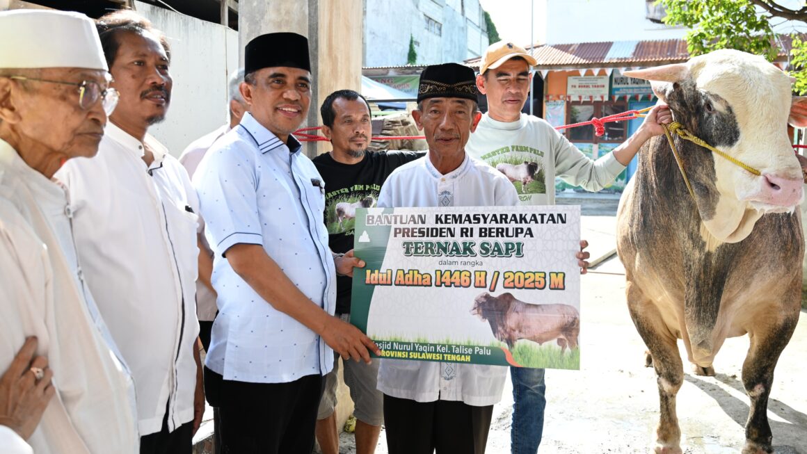 Pemprov Salurkan 37 Sapi Qurban dari Presiden dan Gubernur