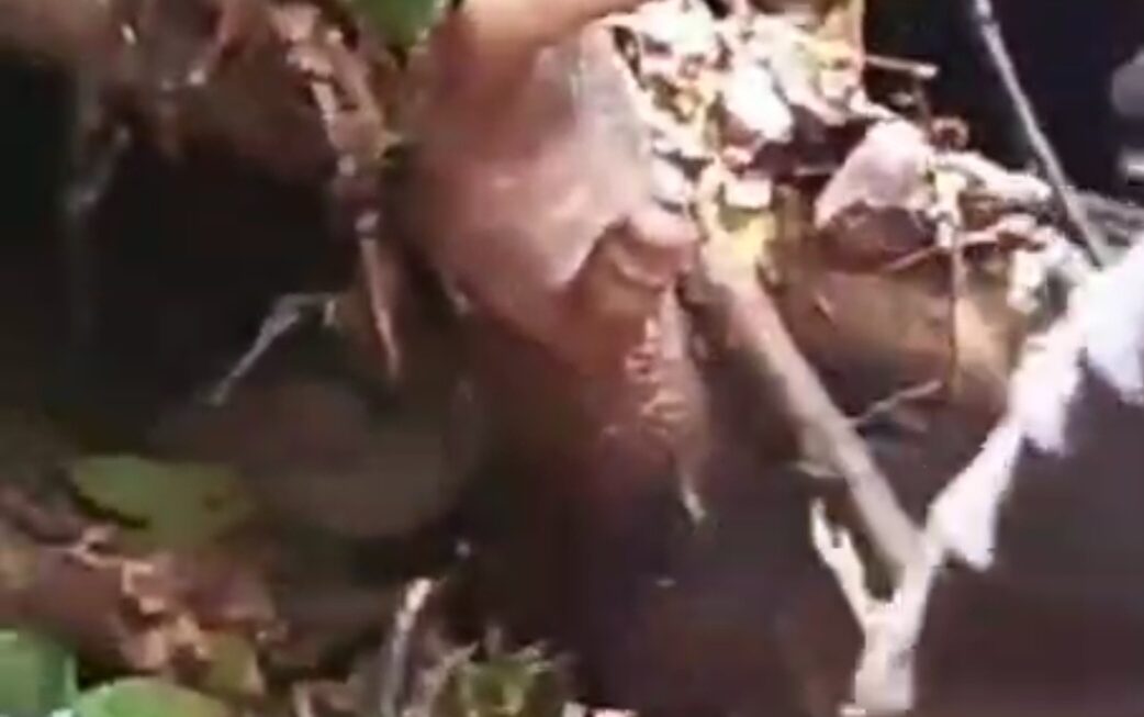 Dua dari 7 Korban Longsor Sudah Ditemukan