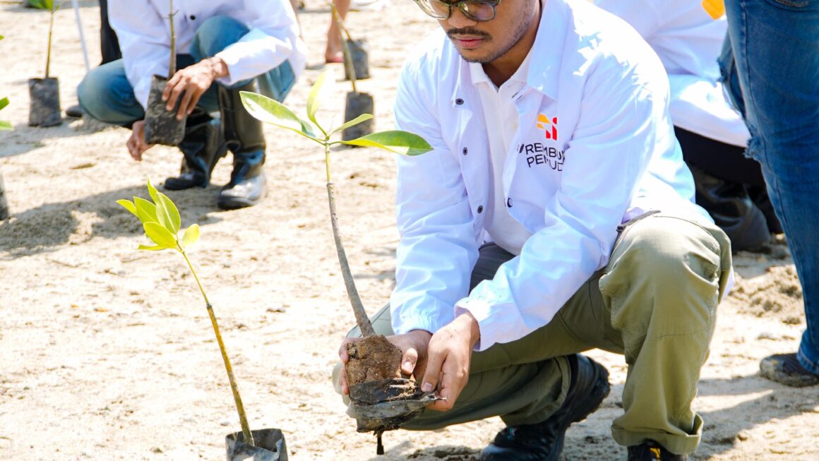 Fathur : Tanam Mangorove,  Bentuk Kepedulian Pemuda