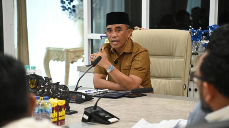 Gubernur Anwar Hafid : Smelter Parimo PSN Sudah Ditetapkan Pusat