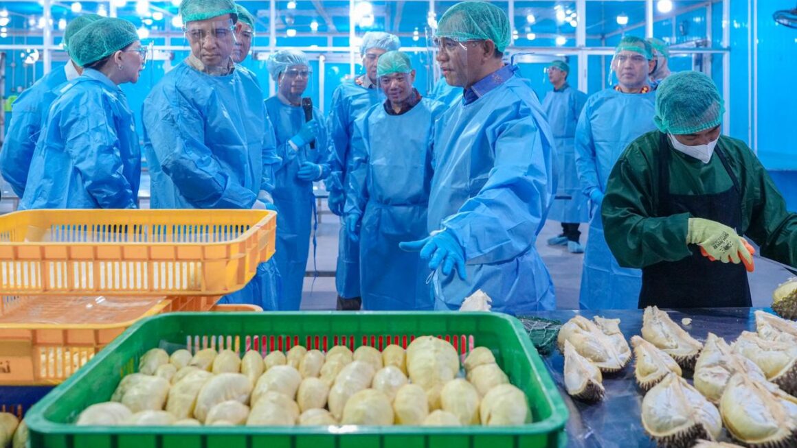 Ekspor 459 Ton Durian, “Ikon” Baru Sulteng